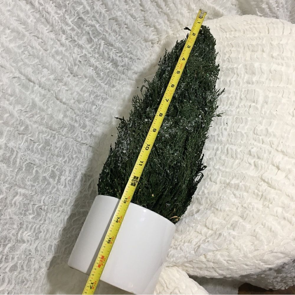 Simple "Christmas " Small Pine Tree Decor Piece - Picture 5 of 6